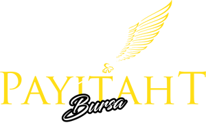 Salon Payitaht